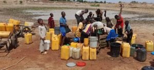 You are currently viewing Plateau: Sabongida residents, animals fight for dirty water in ponds