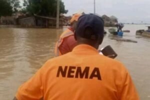 Read more about the article Reps invite NEMA over 2023 flood prediction