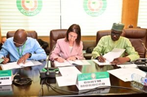 Read more about the article NNPC Ltd, ONHYM, others sign MoU on $25bn Nigeria-Morocco gas pipeline