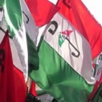 PDP supporters with party flags