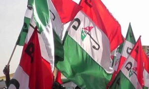 Read more about the article We’ll protest NWC’s rejection of new national secretary, says PDP group