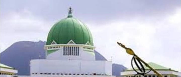 You are currently viewing Roof leakage in NASS ‘ll end soon – construction coy