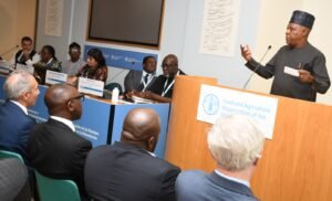 Read more about the article UN Food Summit: VP Shettima woos foreign investors