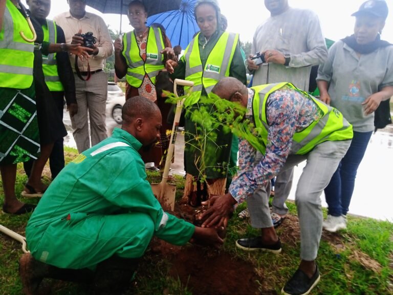 Read more about the article FCTA plants 20,000 trees to maintain good environmental ecosystem