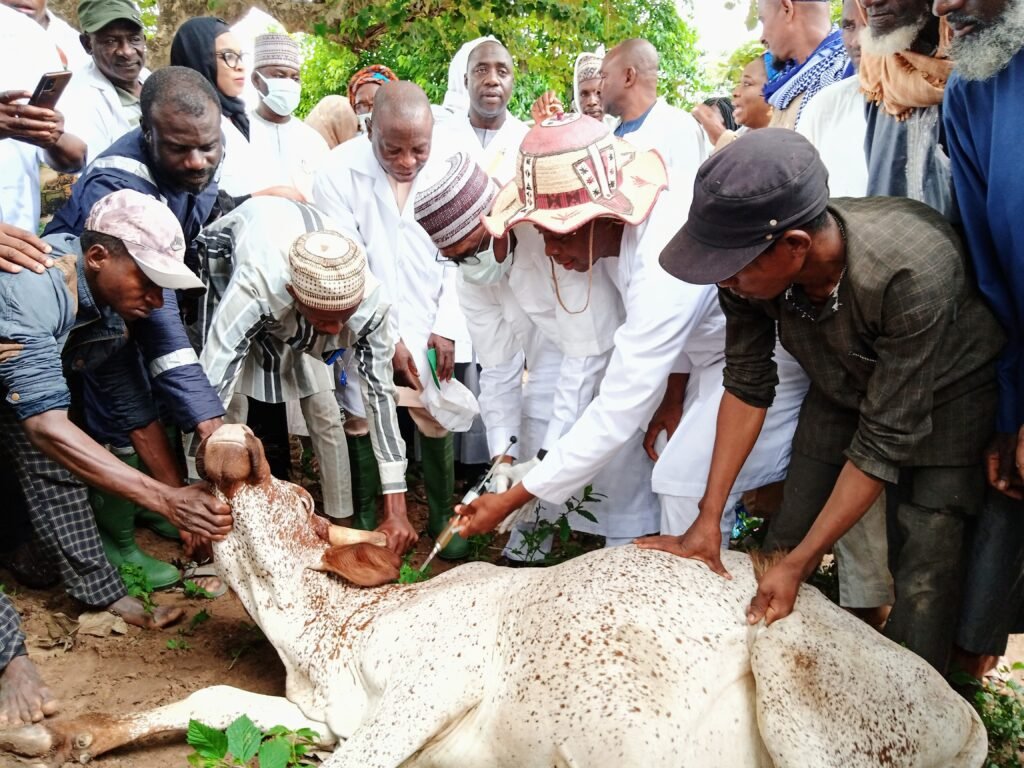 You are currently viewing Anthrax: FCTA begins mass vaccination of cattle to curb spread
