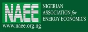 Read more about the article Expert tasks NAEE on energy transition opportunities