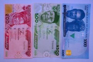 Read more about the article Daily forex inflow, curtailing importation will strengthen Naira, says expert