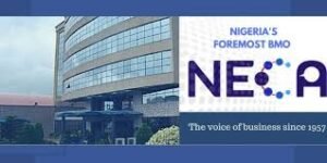 Read more about the article NLC proposed protest: NECA calls for rethink