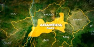 Read more about the article Anambra ICT agency plans digitisation of legislative operations