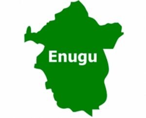 Read more about the article Enugu Govt partners with UNN on quality healthcare