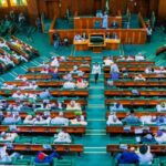 House of Representatives at plenary