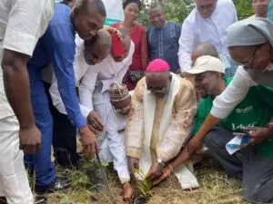 Read more about the article Climate change: Kaigama directs Abuja Catholic institutions to plant trees