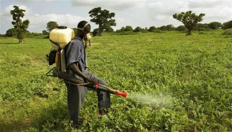Read more about the article Stakeholders caution against harmful usage of pesticides