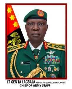 Read more about the article Army Council promotes spokesman, 46 others to Major General
