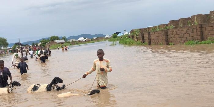 Read more about the article 2023 Flood: 33,983 persons already affected – NEMA