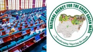 Read more about the article How Great Green Wall Agency spent N81.2b to plant 21m trees – Reps