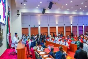 Read more about the article Senate calls for upgrade of Maiduguri Airport to international standard