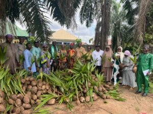 Read more about the article FG distributes 14,633 improved hybrid coconut seedlings to 5 states