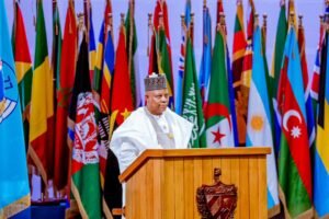 Read more about the article Shettima seeks international cooperation to combat global challenges