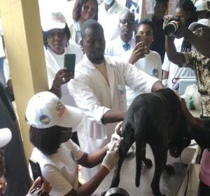 Read more about the article World Rabies Day: Delta records 5 deaths in 3 months –Official