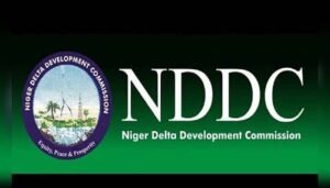 Read more about the article NDDC boss tasks directors on mentorship of subordinates for greater performance