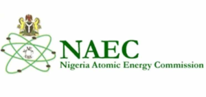 Read more about the article Nigeria’s Atomic Energy Commission signs MoU with Russian varsity
