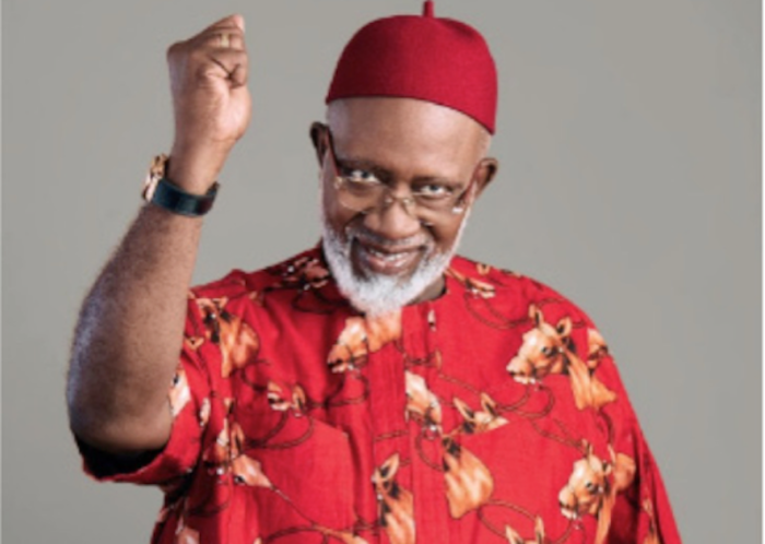Sen. Athan Achonu, Labour Party Governorship Candidate in Imo