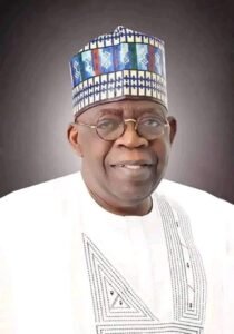 Read more about the article My appointees will not give excuses for poor performances – Tinubu