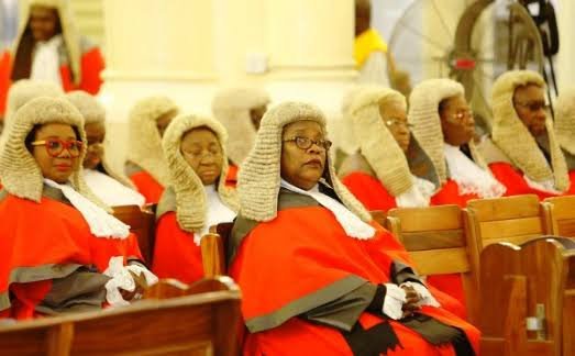 Read more about the article Don’t blame judges for delays in justice dispensation, says Appeal Court Judge