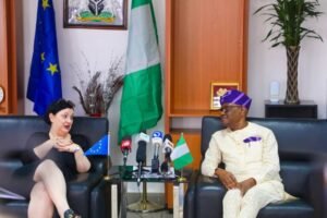 Read more about the article Wike seeks collaboration with EU to strengthen FCT’s economy