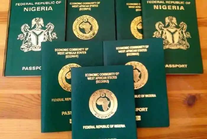 You are currently viewing 112,351 passports uncollected across Nigeria – NIS boss