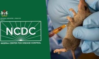 Read more about the article NCDC registers 1,968 Lassa fever cases in 28 states