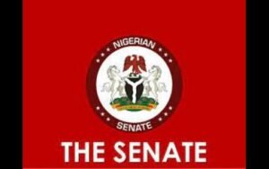 Read more about the article Senate urges FG to find solution to flooding