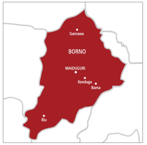 Read more about the article Borno is not war zone, says Commissioner for Justice