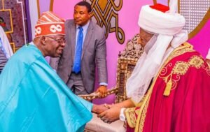 Read more about the article Emir lauds Tinubu for appointing Onilu as NOA DG