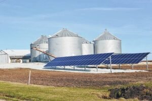 Read more about the article AFAN urges FG to introduce solar powered silos
