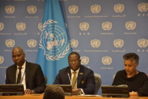 Read more about the article SDGs: Nigeria, others call for inclusive global tax system