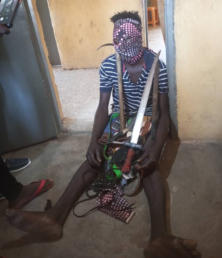 Read more about the article Police nab serial goats’ thief in Kaduna