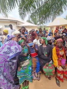 Read more about the article Digital Agriculture: Group trains 250 female farmers in Nasarawa State