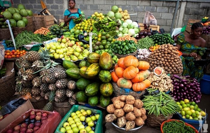 Read more about the article Food security: Group harps on organic agricultural practices in Nigeria