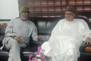 Read more about the article Revocation of mining licenses to sanitise sector – Minister