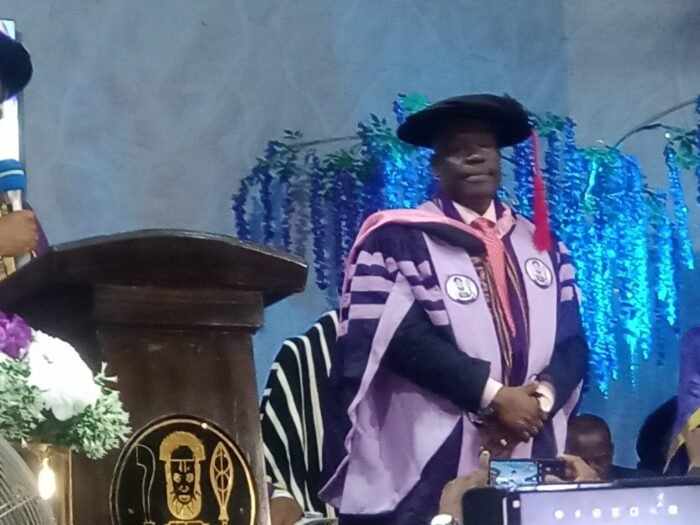 Read more about the article NUPRC boss, Fashola, bag honorary degrees in UNIBEN