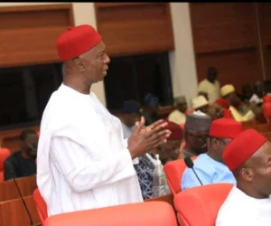 Read more about the article Insecurity: Lawmaker tasks National Assembly on right to firearms
