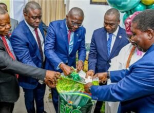Read more about the article Yuletide: Lagos assures residents of availability of Eko Rice