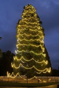 Read more about the article Organisation to light 40-feet Christmas light in Abuja