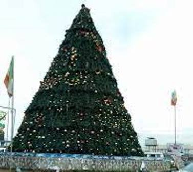 You are currently viewing Yuletide: Organisation to light 85-feet Christmas tree in FCT