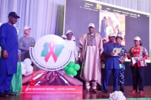 Read more about the article FG unveils National HIV/AIDS strategic plan