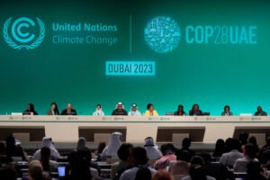 Read more about the article Nigerian environmentalist reacts to ‘draft deal’ of COP28