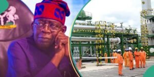 Read more about the article Nigeria remains top-level offshore/onshore investment destination – Tinubu