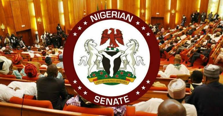 Read more about the article Senators donate N109m to victims of Kaduna drone misfire